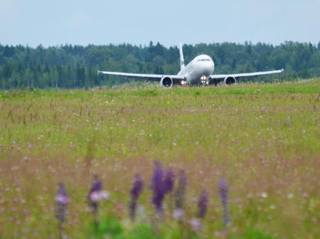 Lentokone laskeutuu niityn ympäröimälle kiitotielle.