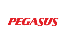 Pegasus